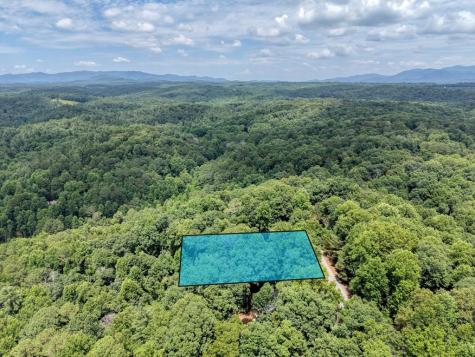 119 Bear Court Ellijay GA 30540