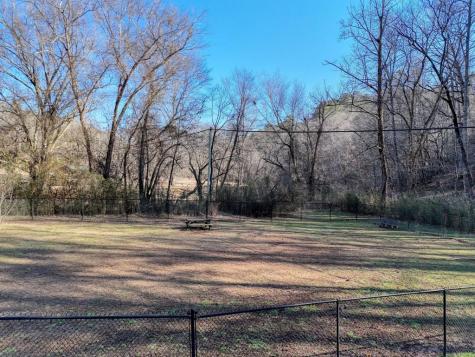 119 Bear Court Ellijay GA 30540