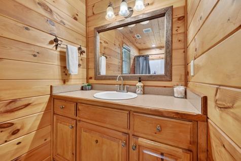 115 Fox Run Drive Blue Ridge GA 30513