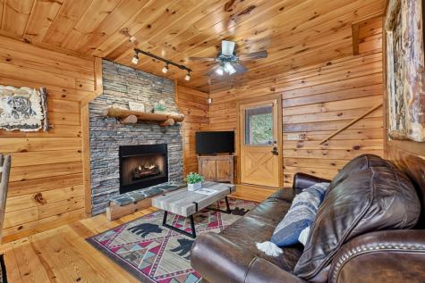 115 Fox Run Drive Blue Ridge GA 30513