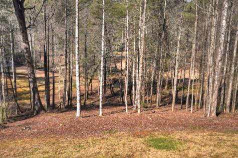 7233 Shakerag Road Ellijay GA 30540