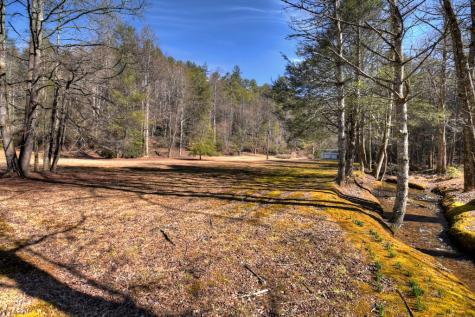 7233 Shakerag Road Ellijay GA 30540