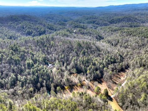 7233 Shakerag Road Ellijay GA 30540