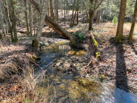 7233 Shakerag Road Ellijay GA 30540