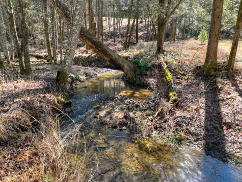 7233 Shakerag Road Ellijay GA 30540