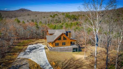 242 Whisperwood Trail Mineral Bluff GA 30559