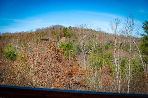 242 Whisperwood Trail Mineral Bluff GA 30559