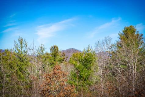 242 Whisperwood Trail Mineral Bluff GA 30559