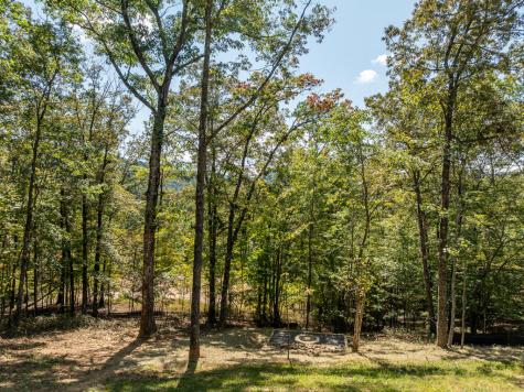 108 Wildflower Drive Mineral Bluff GA 30559