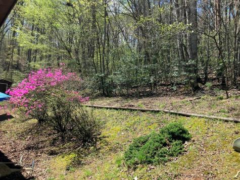 65 Jones Drive Morganton GA 30560