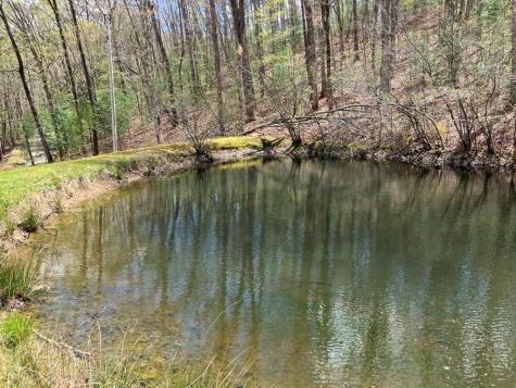 65 Jones Drive Morganton GA 30560