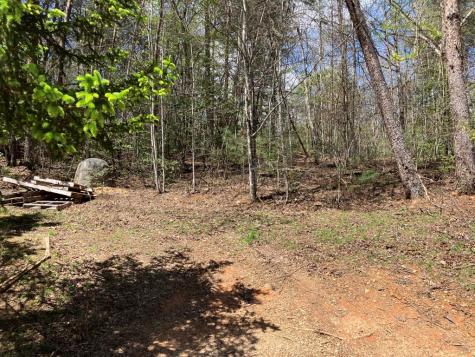 65 Jones Drive Morganton GA 30560