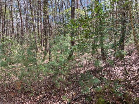 65 Jones Drive Morganton GA 30560
