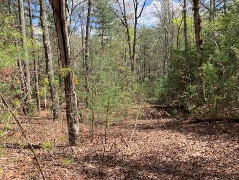 65 Jones Drive Morganton GA 30560