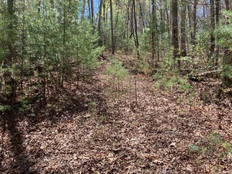 65 Jones Drive Morganton GA 30560