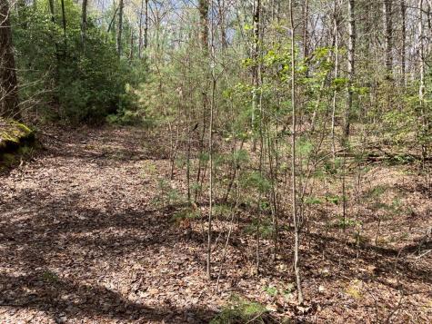 65 Jones Drive Morganton GA 30560