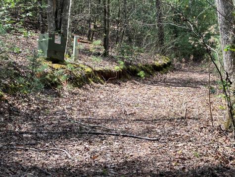65 Jones Drive Morganton GA 30560