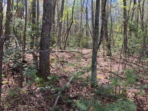 65 Jones Drive Morganton GA 30560