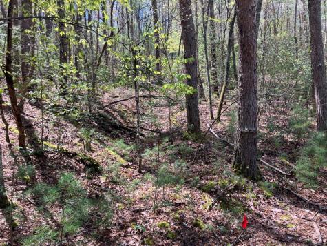 65 Jones Drive Morganton GA 30560
