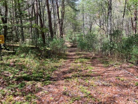 65 Jones Drive Morganton GA 30560