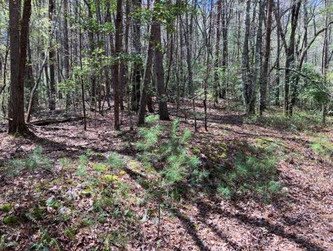 65 Jones Drive Morganton GA 30560