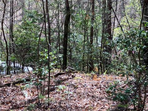 65 Jones Drive Morganton GA 30560