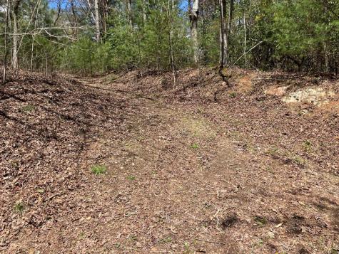 65 Jones Drive Morganton GA 30560