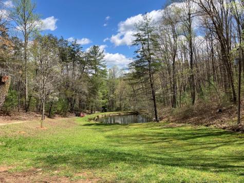 65 Jones Drive Morganton GA 30560