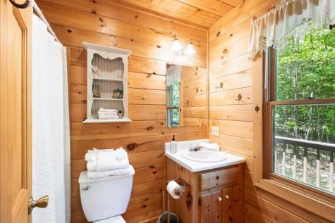 166 Lake Ridge Drive Blue Ridge GA 30513