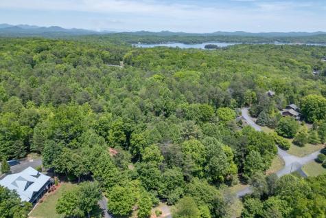 166 Lake Ridge Drive Blue Ridge GA 30513