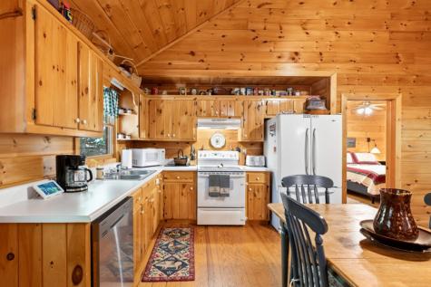 166 Lake Ridge Drive Blue Ridge GA 30513