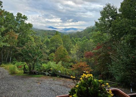 32 Ivey Ridge Suches GA 30572