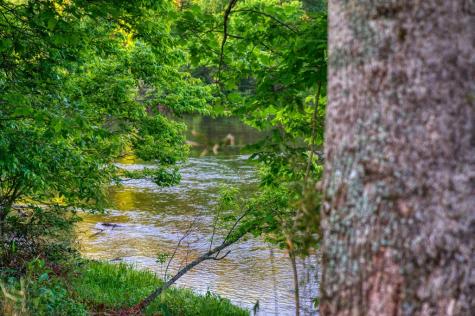 661 Toccoa River Forest Mineral Bluff GA 30559