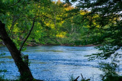 661 Toccoa River Forest Mineral Bluff GA 30559
