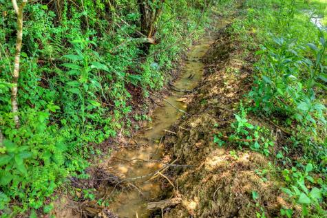 2125 Shady Grove Road Murphy NC 28906