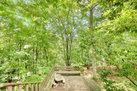 9258 Highway 60 Suches GA 30572