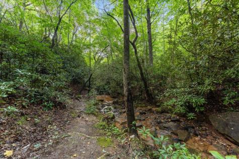 126 Brookwood Drive Blue Ridge GA 30513