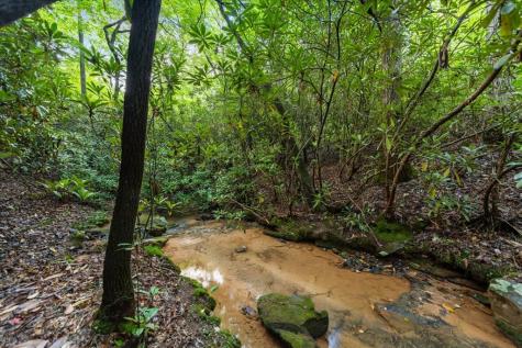 126 Brookwood Drive Blue Ridge GA 30513