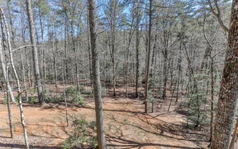 627 Walker Ridge Ellijay GA 30540