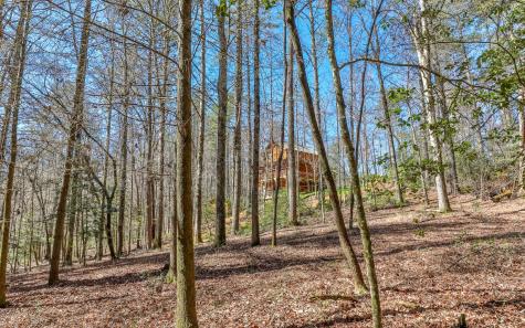 627 Walker Ridge Ellijay GA 30540