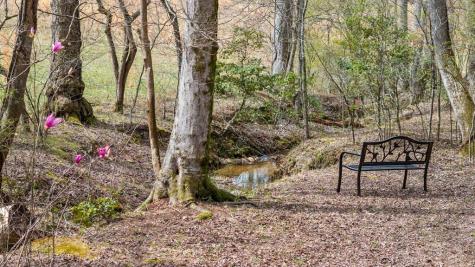 111 Windy Valley Spur Blue Ridge GA 30513