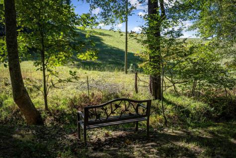 111 Windy Valley Spur Blue Ridge GA 30513