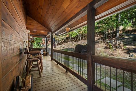 111 Windy Valley Spur Blue Ridge GA 30513