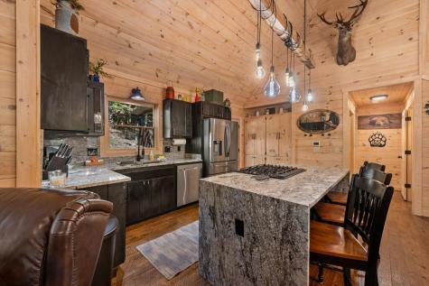 111 Windy Valley Spur Blue Ridge GA 30513
