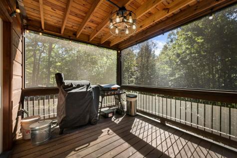 111 Windy Valley Spur Blue Ridge GA 30513