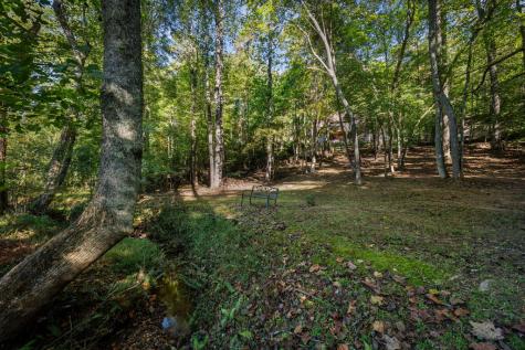 111 Windy Valley Spur Blue Ridge GA 30513