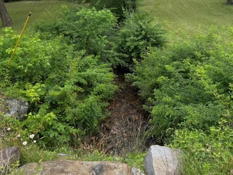 6211 Old Highway 64 W Warne NC 28909