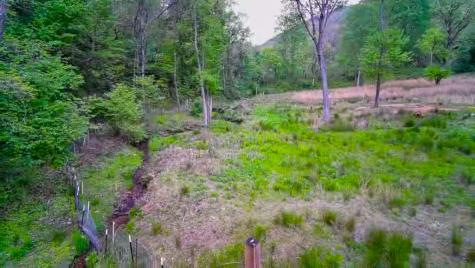 3325 Pack Mountain Road Murphy NC 28906