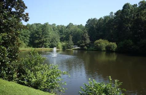 32 Bear Court Ellijay GA 30540