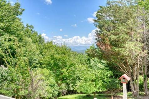100 Sourwood Lane Hayesville NC 28904